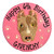 Custom cake for dogs with pit bull face on a pink background.