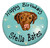 A brown hound on a blue cake for dogs.