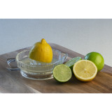 Glass Citrus Juicer