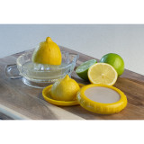 Glass Citrus Juicer