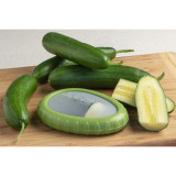 Avocado Saver