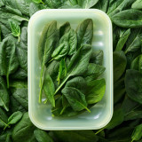 Fresh Block 2 Piece Set - 330ml