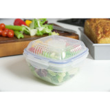 Classic Special Salad Lunch Box W/dividers 950ml