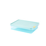 Freezer Fit Rectangular Container - 2.2L