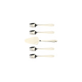 Stainless Steel Mirror Cake Server & Set/5
