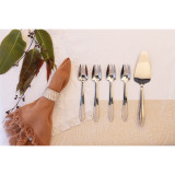 Stainless Steel Mirror Cake Server & Set/5