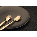 Black Lbl Rose Gold Mirror 6pcSet