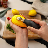 2-in-1 Zester