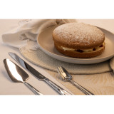 SS Cake Knife, Server & Set/8