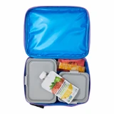 Freezable Classic Lunch Box Ice Cream Critters