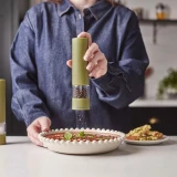 Brixton Electric USB-C Olive Green