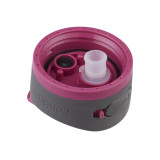 Ashland 2.0 Autospout-Dragon Fruit 709ml