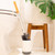Scrub Queen Toilet Brush