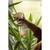 The Cleaning Solution Spray Bottle 295ml