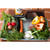 Adjustable Slicer with Julienne Blade