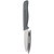Paring Knife 90mm / 3.54 in