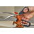 Seafood Scissors