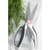 Gourmet Shears