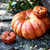Ceramic Pumpkin Cocotte 12cm, Cinnamon