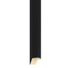 4232 Frame Moulding