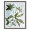 HC-24-0272B  Sprig