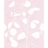 Sample WHC24171  Money Plant