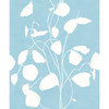 Sample WHC24171  Money Plant