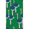 WYK25176  Blooming Ostrich