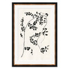 HC-25-0285B  Clematis Vine II
