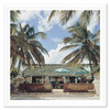 Getty Images, "Mill Reef Club, Antigua," Slim Aarons, January 1, 1960