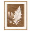 CAC-26-0117A  Sepia Fern I
