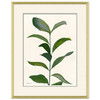 HC-20-0165B  Sea Greens