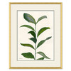 HC-20-0165B  Sea Greens