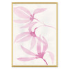 HC-20-0145A  Tulip Magnolia