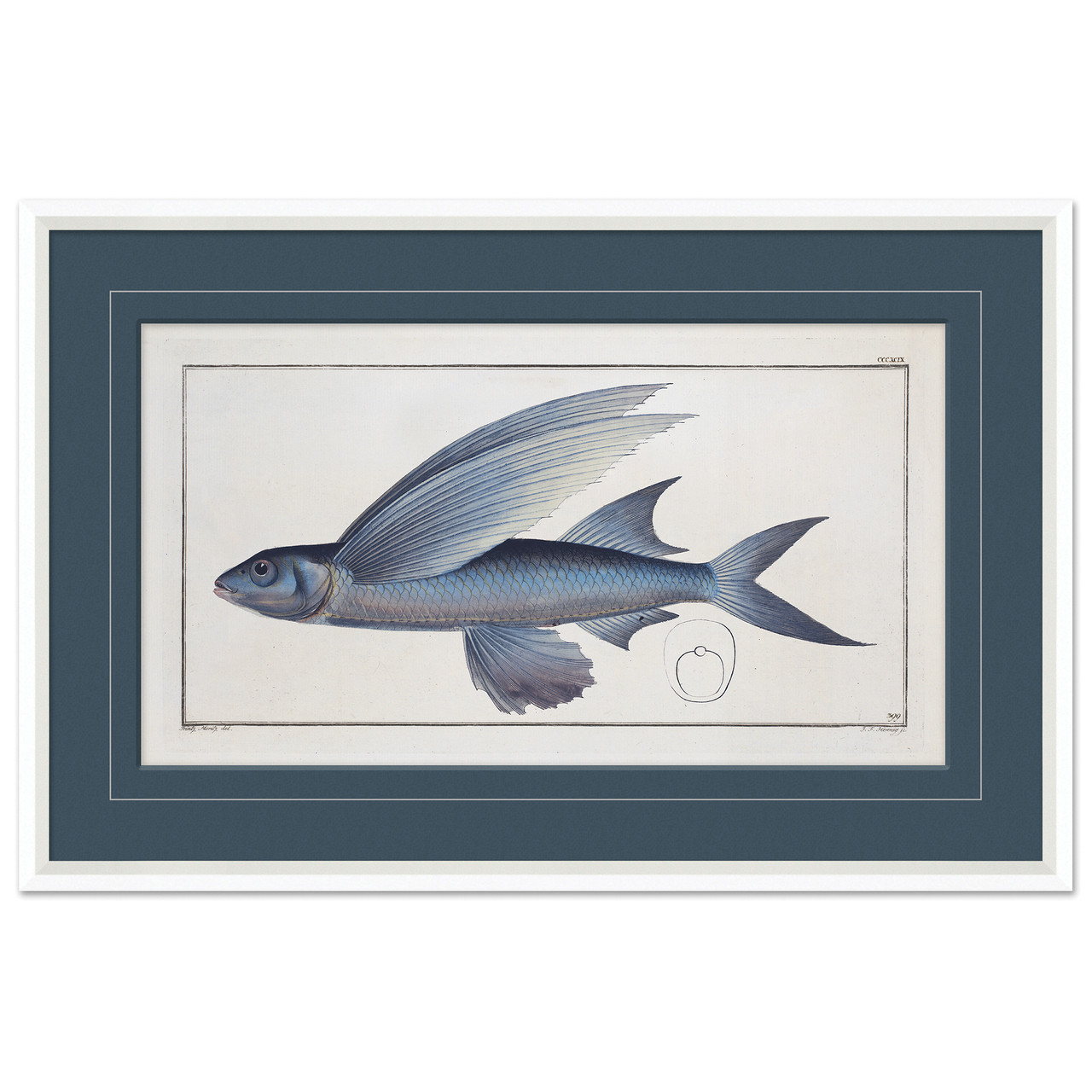 P-7059D Blue Fish 5 - Soicher Marin Retail