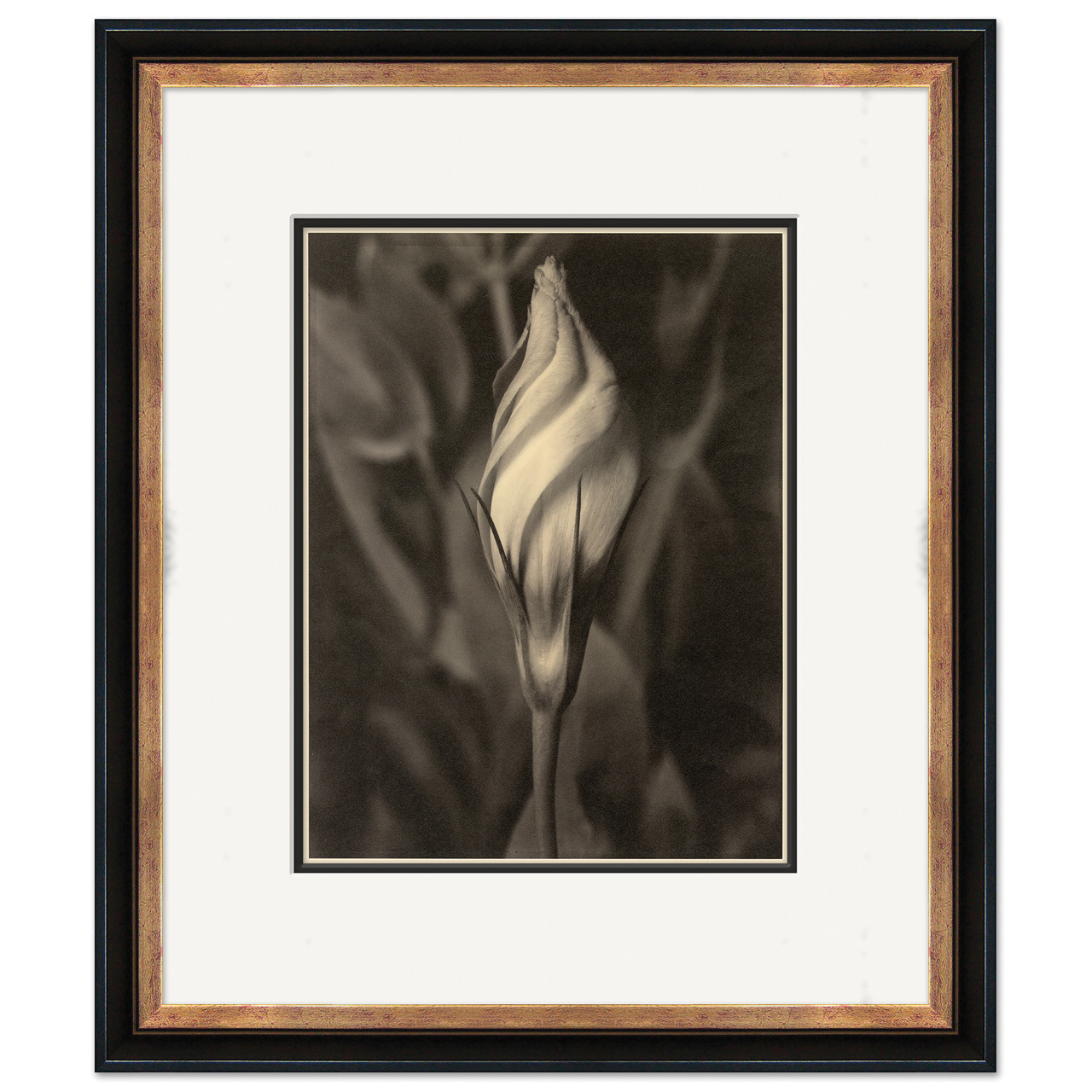 P-6959J Sepia Flowers 18 - Soicher Marin Retail