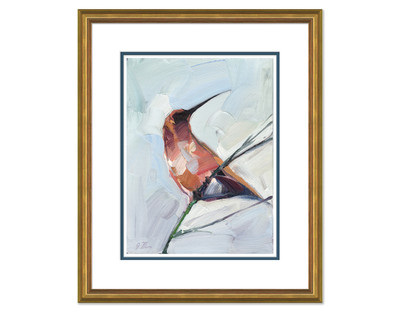 Rufous Hummingbird