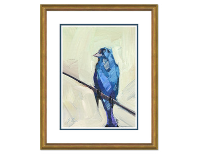 Blue Robin