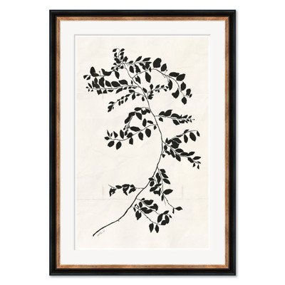 HC-25-0285A  Clematis Vine I