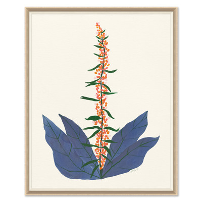 HC-25-0295B  Yucca