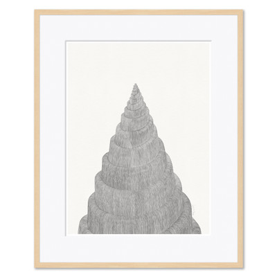 LS-25-0134B  Shell Form II