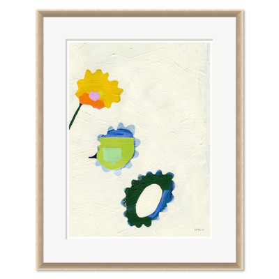 HC-25-0284A  Buttercup