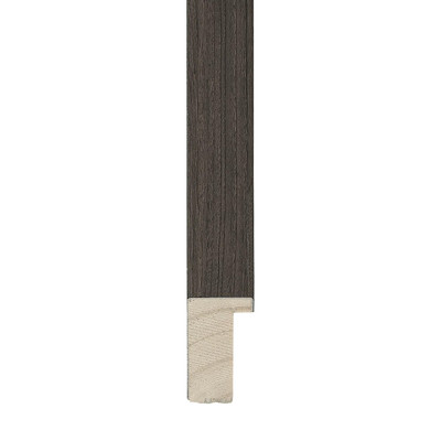 4252 Frame Moulding