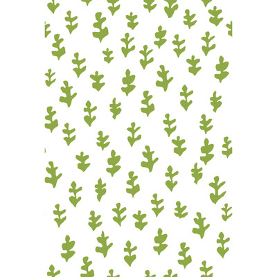 Sample WDG26003  Trufi