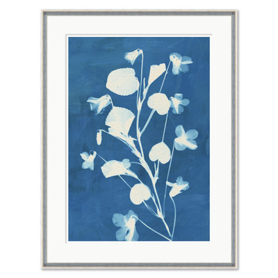 CAC-26-0113B  Montauk Violets