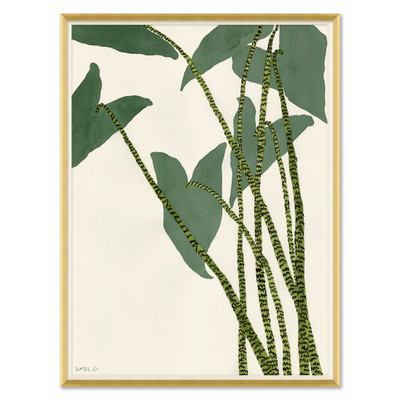 HC-20-0144  Caladium