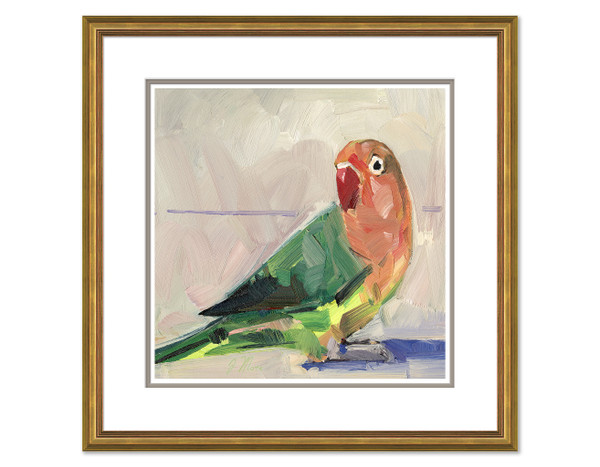 Rainbow Parakeet