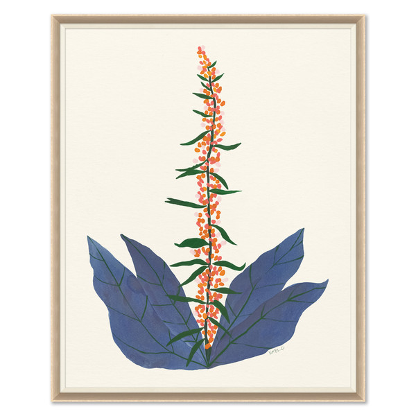 HC-25-0295B  Yucca