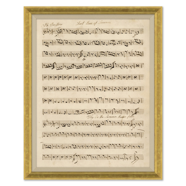 P-7373C  Aria Impressions III