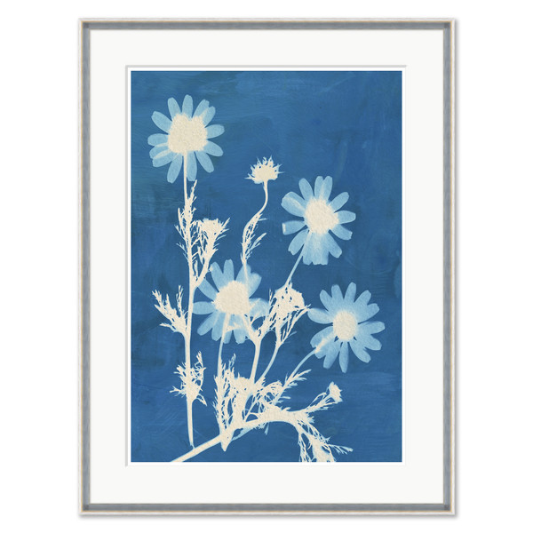 CAC-26-0113A  Montauk Daisies I